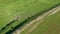 Aerial view of herd of sheep grazing in a meadow. Transylvania, Romania