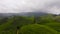 Aerial view of high mountain tea plantation. Tea estate in Sri Lanka.