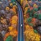 Aerial view of highway in autumn forest - top view from drone