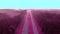 Aerial view of Highway Purple Pink Tinted for conceptual theme 4K