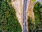 Aerial view of highway, traffic jam, green forest, Netherlands