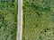 Aerial view of highway, traffic jam, green forest, Netherlands