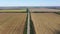 Aerial view. Highway among wheat fields