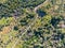 Aerial view of hiking sandy trails in dry green mountain