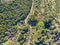 Aerial view of hiking sandy trails in dry green mountain