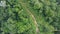 Aerial view of hiking trail inside a tropical rainforest. Malaysia.