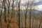 Aerial view from Hill with autumn woodscape in German Sauerland