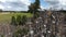 Aerial view of Hill of Crosses or KRYZIU KALNAS in Lithuania.