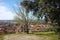 Aerial view from a hill. a quiet, green, quiet and peaceful public park. a solitary bench, a tree and a view of the town