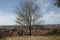 Aerial view from a hill. a quiet, green, quiet and peaceful public park. a solitary bench, a tree and a view of the town