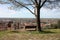 Aerial view from a hill. a quiet, green, quiet and peaceful public park. a solitary bench, a tree and a view of the town