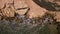 Aerial view of the hillside of the desert beach of Namibe. Africa. Angola