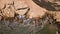 Aerial view of the hillside of the desert beach of Namibe. Africa. Angola