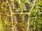 Aerial view of homes in a  residential community.  Subdivision in an upscale area. ecological living in a natural environment with