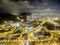 Aerial view of Hong Kong Night Scene, Kwai Chung in golden color