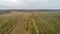 Aerial view on hops field. Field of hops after harvesting.