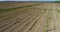 Aerial view on hops field. Field of hops before harvesting.