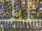 Aerial view Houston suburban neighborhood subdivision residentia