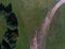 Aerial view of huge illegal cutted pine logs near a forest road