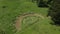 Aerial view of the huge ring of people dance around a tree.