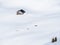 Aerial view with a hut or cabin in the mountains in the middle of a sea of white fresh snow.Winter landscape in Bucegi mountains