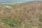 Aerial view of an idyllic island covered in lush, dense vegetation