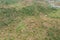 Aerial view of an idyllic island covered in lush, dense vegetation