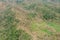 Aerial view of an idyllic island covered in lush, dense vegetation