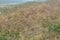 Aerial view of an idyllic island covered in lush, dense vegetation