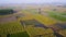 Aerial view of indian agricultural fields in Uttar Pradesh