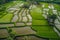Aerial View of Integrated Fish and Rice Farming Filed. Generative AI