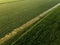 Aerial view of irrigation equipment watering green soybean crops