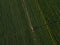 Aerial view of irrigation equipment watering green soybean crops