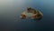 Aerial view of Islet of Vila Franca do Campo near San Miguel island, Azores archipelago, Portugal.