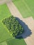 Aerial View : Isolated wood in fields