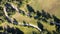 Aerial view of italian countryside with pattern drawn by roads, meadows and trees