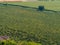 Aerial view of the Italian vineyards. Landscape at the vineyards of the Franciacorta area in Italy. The wine route