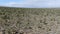 Aerial view of Joshua Tree National Park. USA