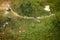 Aerial view of junkyard with a brown stray dog wandering around