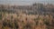 Aerial view of Kamparkalns watching tower in sunny winter day, Talsi, Latvia