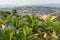 Aerial view of Kigali from a distance