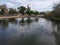 Aerial view of lake at the Kit Carson Park, municipal park in Escondido