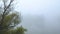 Aerial view. Lake in morning light covered with fog, captivating willow trees on the side. Beautiful landscape of plain river. Mys