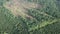 Aerial view land clearing