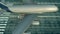 Aerial view of a landing plane revealing flag of Hong Kong on the airfield of an airport. Air travel related conceptual