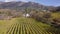 Aerial view of, landmark wine farm in Cape Town, South Africa