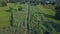 Aerial view of landscape countryside and rice field with rural village