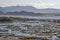 Aerial view and landscape of loktak lake manipur