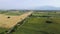 Aerial view of landscape sunflower field village of Boshulya, Bulgaria