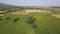 Aerial view of landscape sunflower field village of Boshulya, Bulgaria